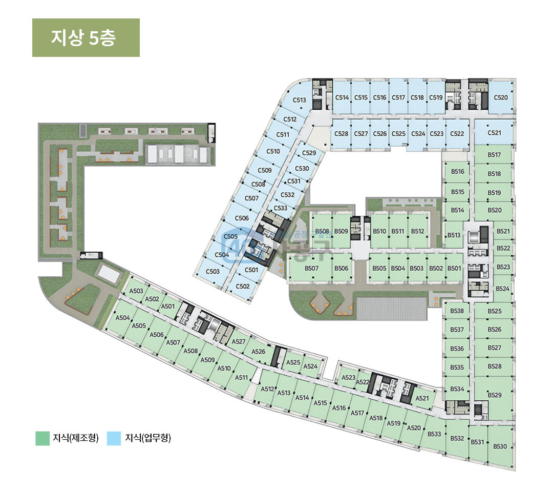 지상 5층