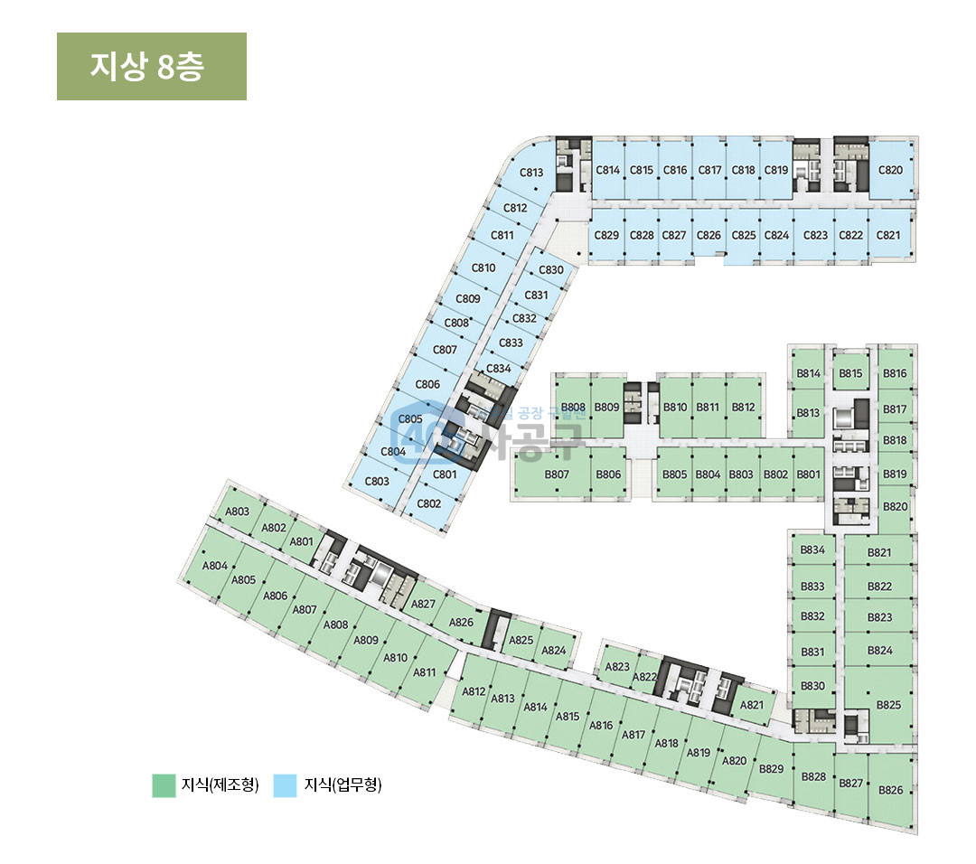 지상 8층