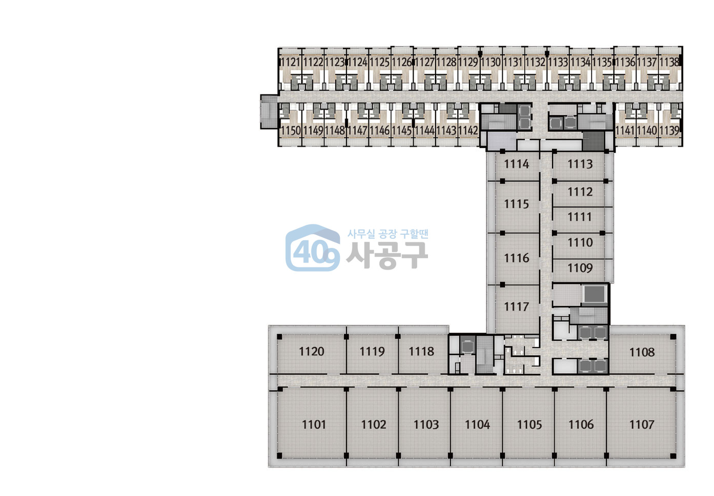 지상 11층