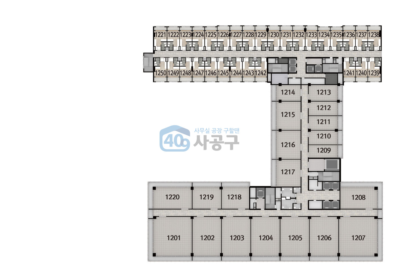 지상 12층